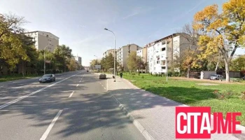 Alex Dog Grooming - Скопје 1000