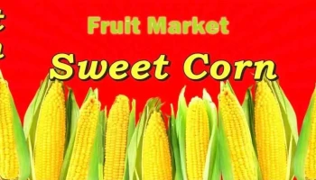 Fruit Market - Прилеп