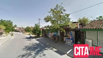 Lunis Dog Grooming - Куманово 1300