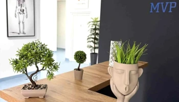 Mvp Physiotherapy Clinic - Гостивар 1230