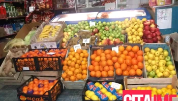Vraca Export - Неготино-Полошко