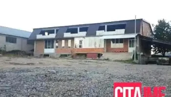 Zlaten Leb Bee - Dolna Belitsa