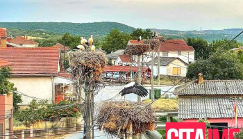 Општина Богданци - North Macedonia