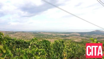 Општина Неготино - North Macedonia