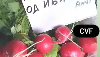 Римес месарница - Скопје 1000