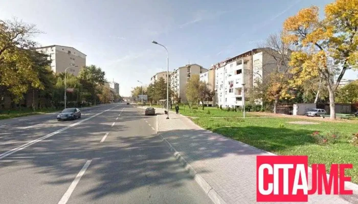 Alex Dog Grooming - Скопје 1000