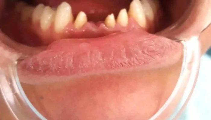 Ar -  Dental Od Sopstvenikot - Градец