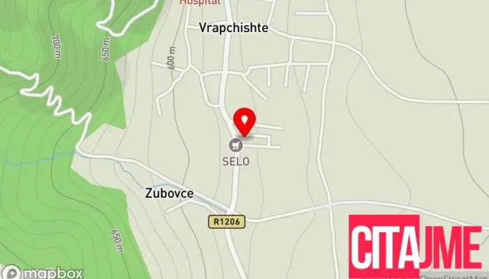 Art -  Dental мапа - Vrapchishte