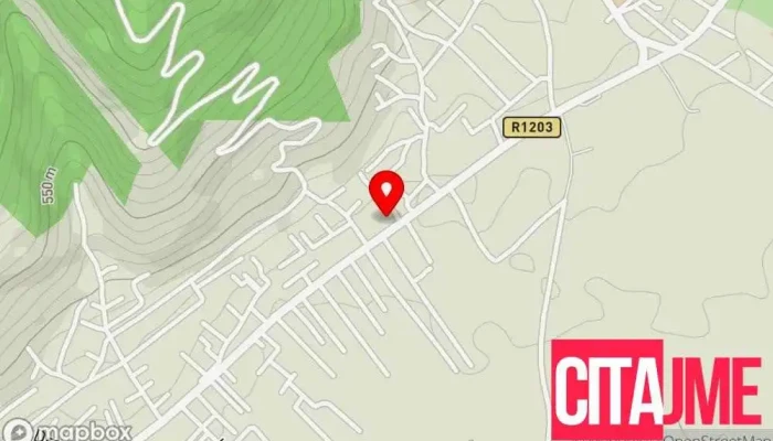 Avto Servis Erol мапа - Тетово