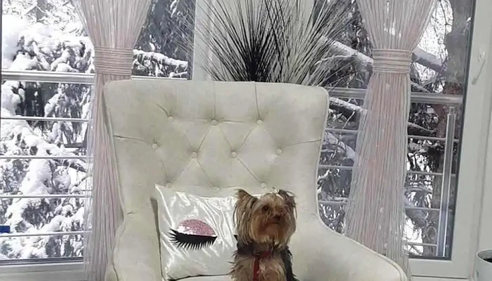 Beauty House - Тетово 1200