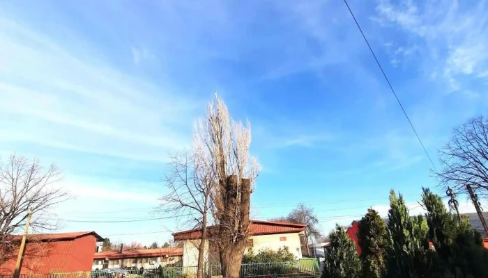 Butel Sie - Скопје