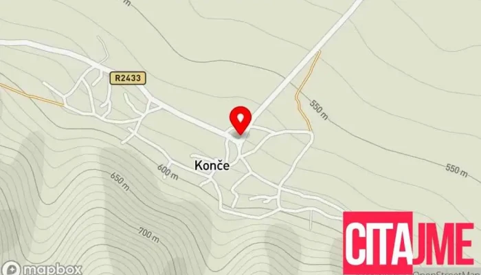 Dentist /Diş Doktoru - Konche