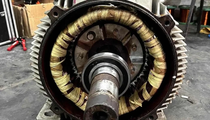 Elektromotor Od Sopstvenikot - Битола
