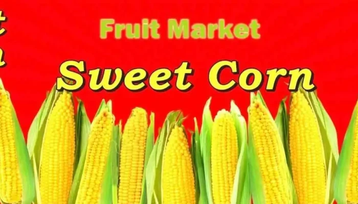 Fruit Market - Прилеп