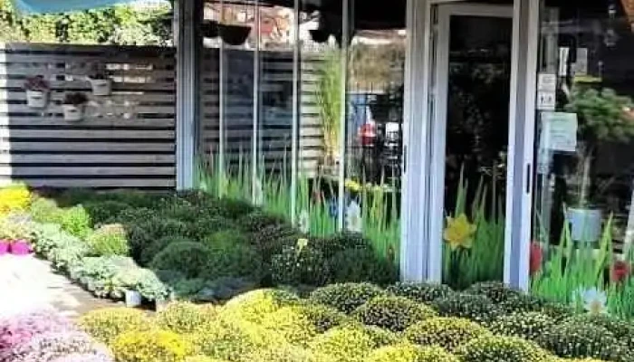 Green Garden Centar Bitola - Битола