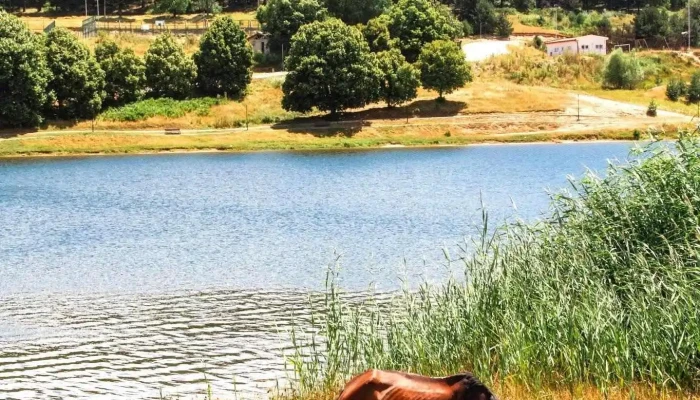 Horse Riding Club Krushevo - Крушево