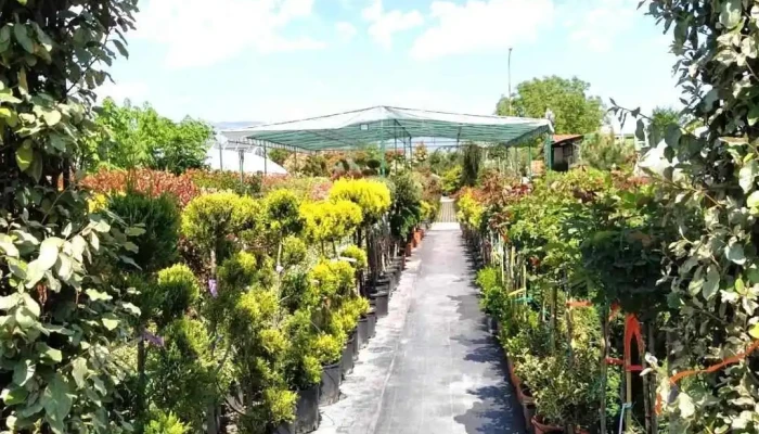 Khorti Dizajn Od Sopstvenikot - Скопје