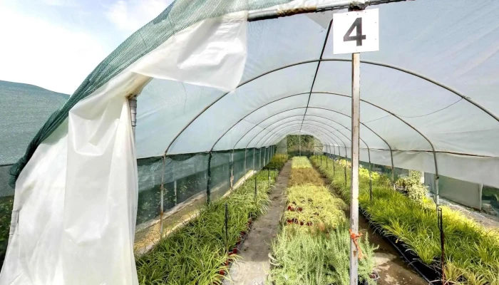 Khorti Dizajn Ulichen Prikaz I 360deg - Скопје