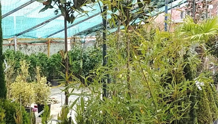 Khorti Dizajn коментари - Скопје