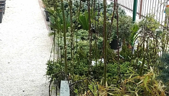 Khorti Dizajn отворено сега - Скопје