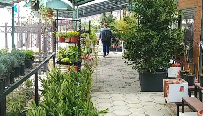 Khorti Dizajn попусти - Скопје