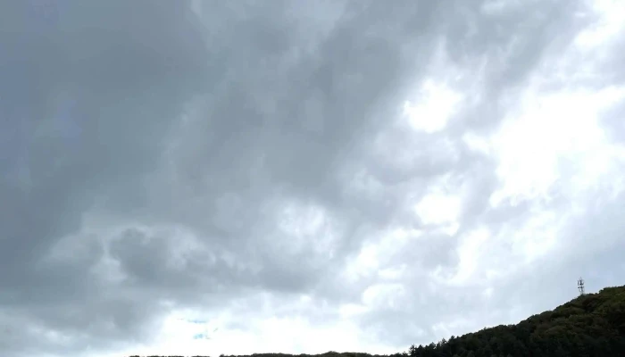 Krushevo каталог - Крушево
