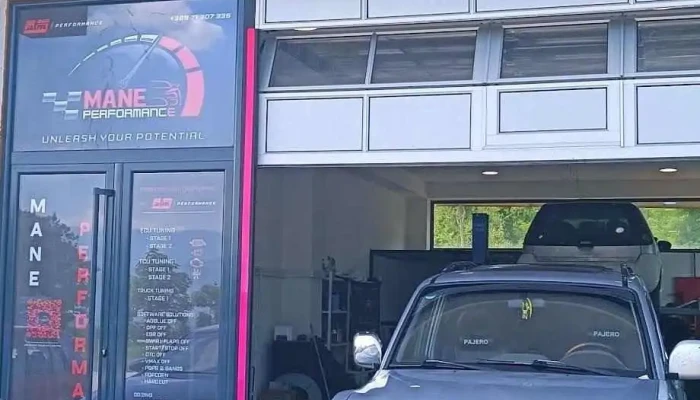 Mane Performance - Chiptuning - Тетово 1224