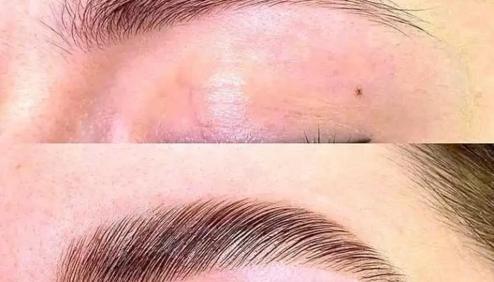 Microblading Bojanna - Роза Петрова 28