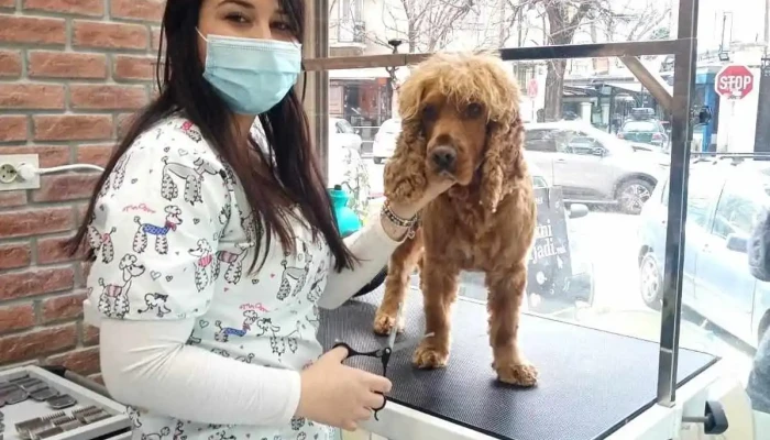 Moni Grooming Salon - Струмица