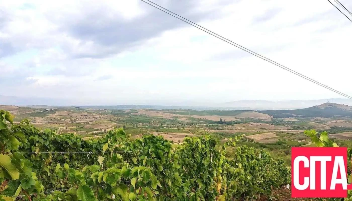 Opshtina Negotino Sie - North Macedonia