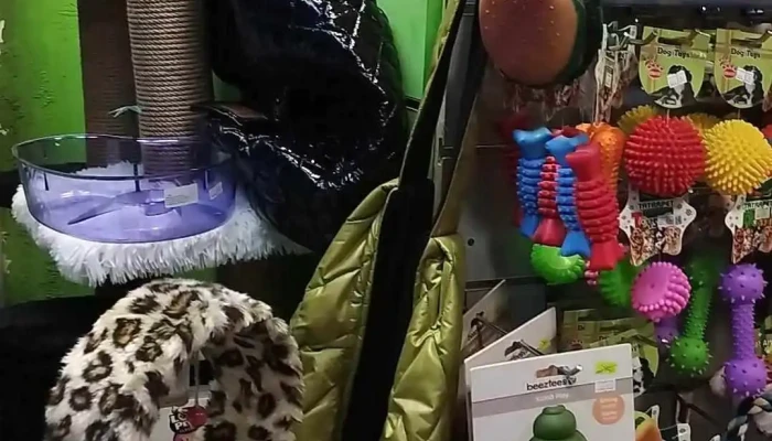 Pet Shop Sirena Videa - Охрид