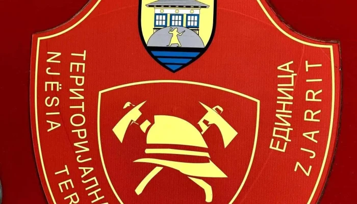 Teritorijalna Protivpozharna Edinitsa Tetovo Tppe Amblem - Тетово