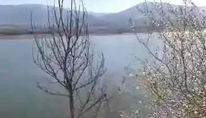 Tets Bitola Videa - Новаци
