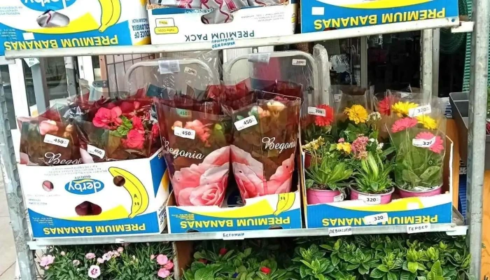 Trend Od Sopstvenikot - Охрид