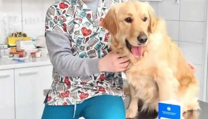 Veterinarna Ambulanta Tashkovski   Veterinar Veles Sie - Велес