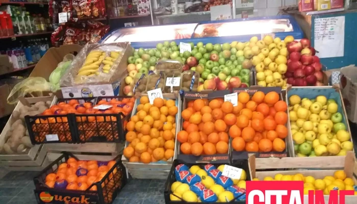 Vraca Export - Неготино-Полошко