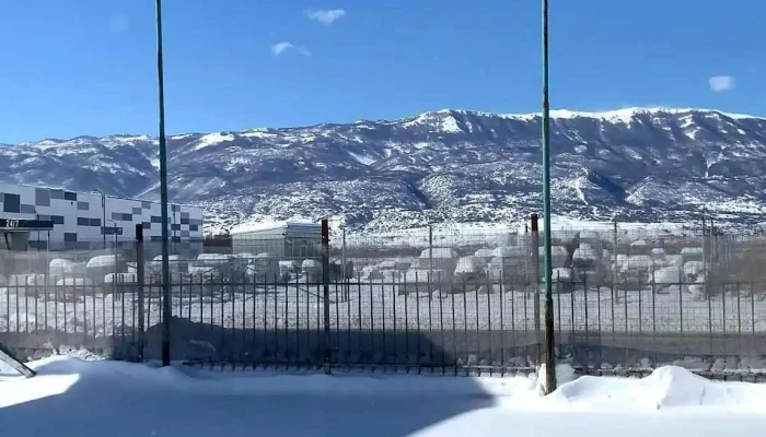 Zdruzhenie Na Vozachi   Tsentar Za Vozila Struga Od Sopstvenikot - Струга