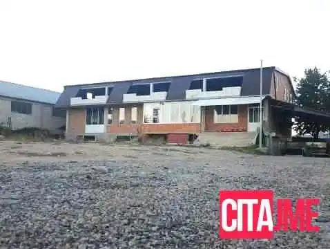Zlaten Leb Bee - Dolna Belitsa