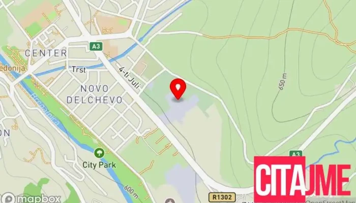 Витекс - Методија Митевски Брицо