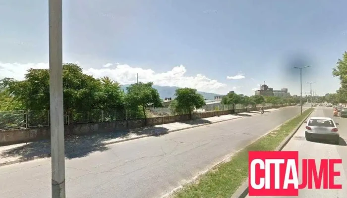 Нм Ексклузив - Тодосија Паунов
