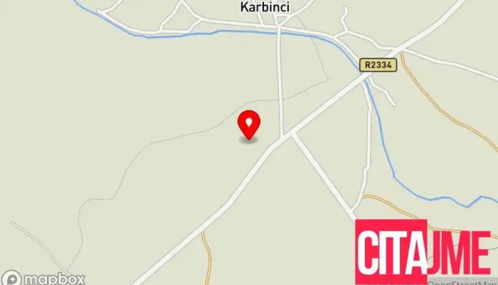 Ооу „Страшо Пинџур” - Карбинци - Карбинци