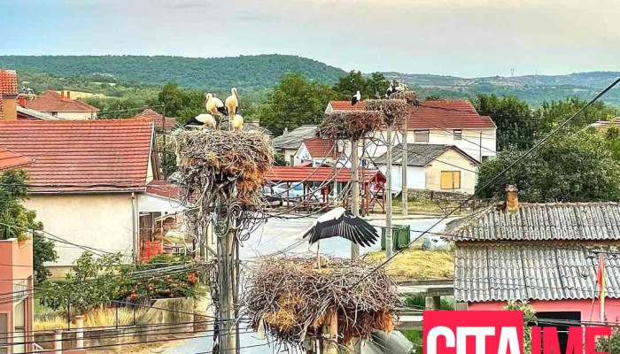 Општина Богданци - North Macedonia