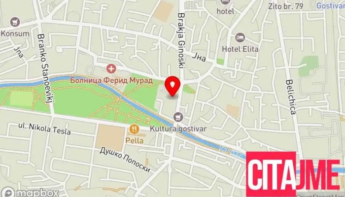 Пелагонија Ад Гостивар - Гостивар
