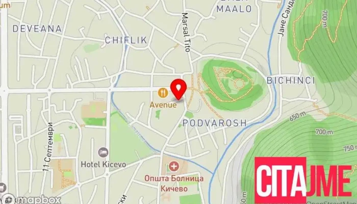 Стопанска комора на Република Северна Македонија - Регионална комора Кичево - Кичево