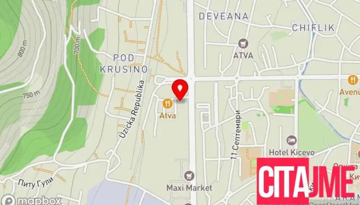 Територијална противпожарна единица Тппе Кичево - Кичево
