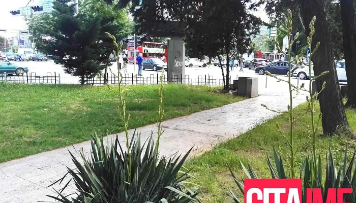 Управа за водење на матичните книги на Рм - Скопје