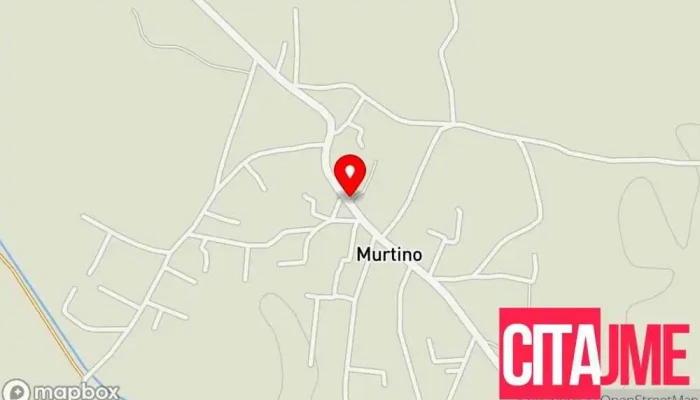 Фис Пром - Murtino