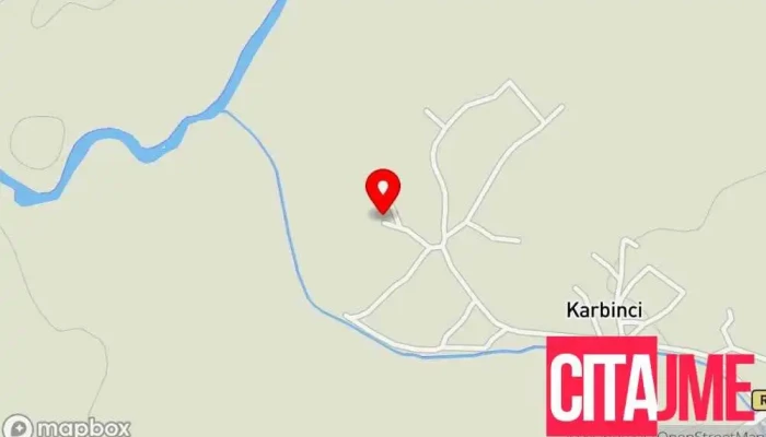 Храм Вознесение Христово, Карбинци - Карбинци